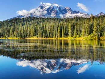 Washington’s Mountains, Rainforests & Pacific Coast