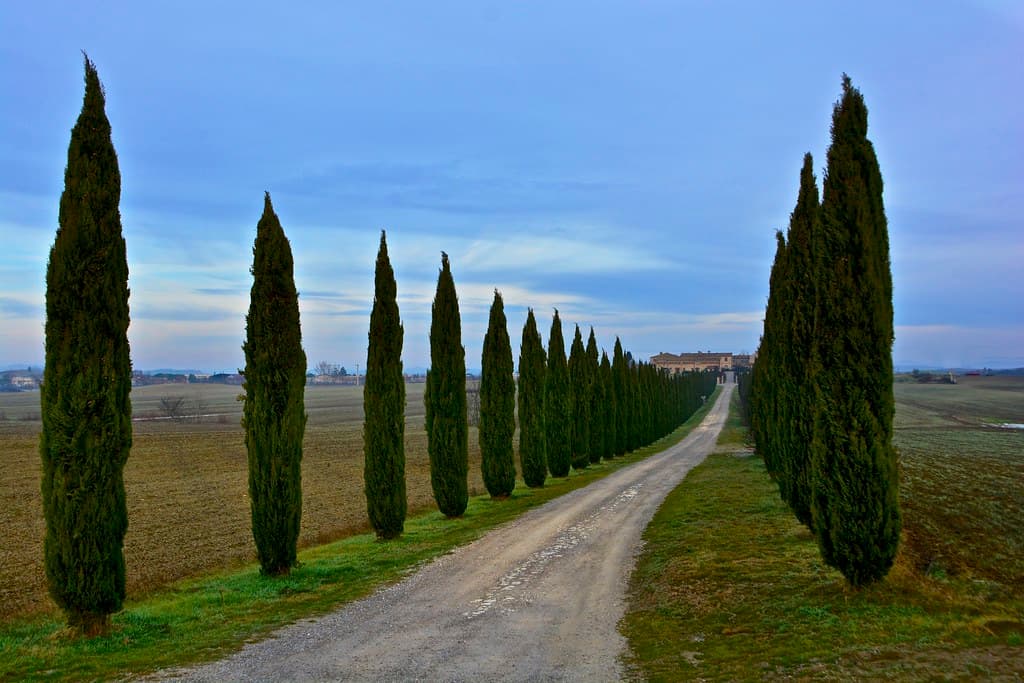 Fly-Drive Rome to Venice