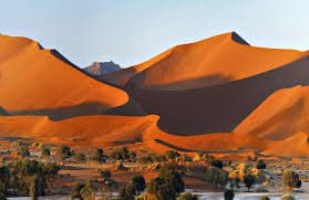 Namibia Self-Drive Safari – Desert, Coast & Wildlife Adventure